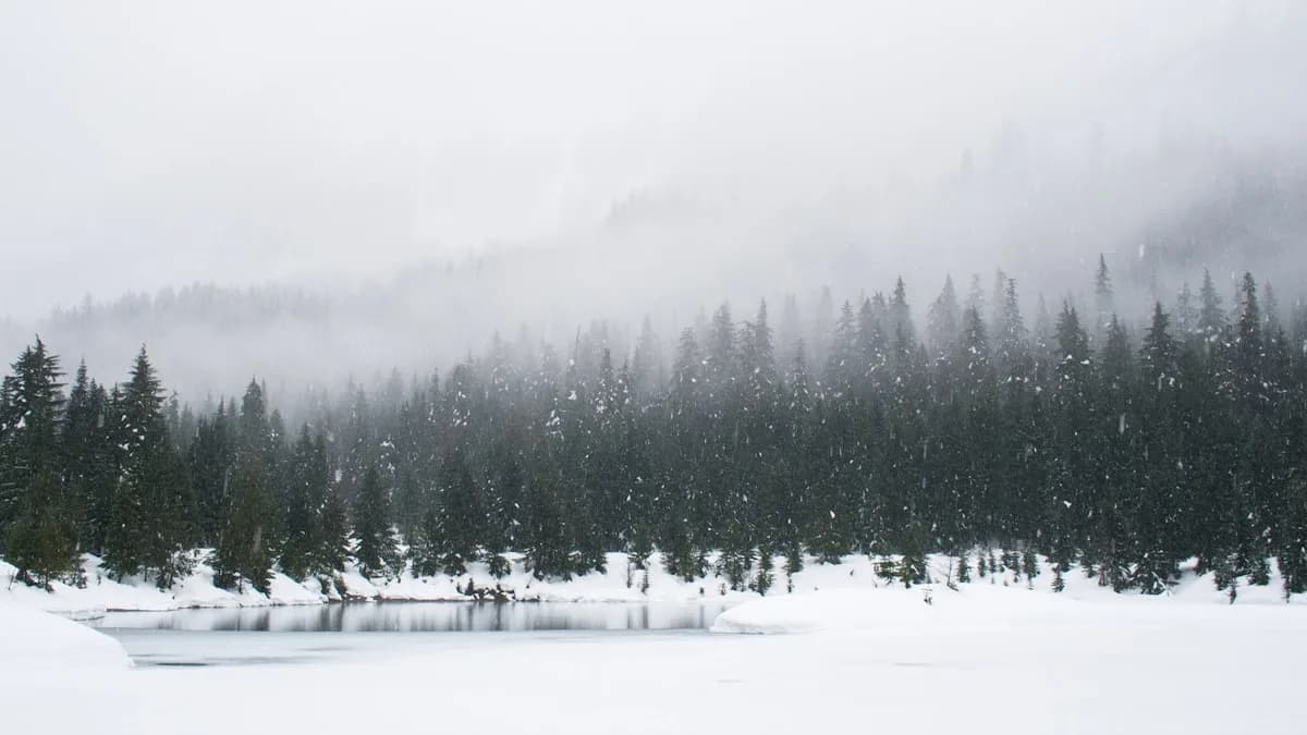 Winter Lip Care: A Complete Guide