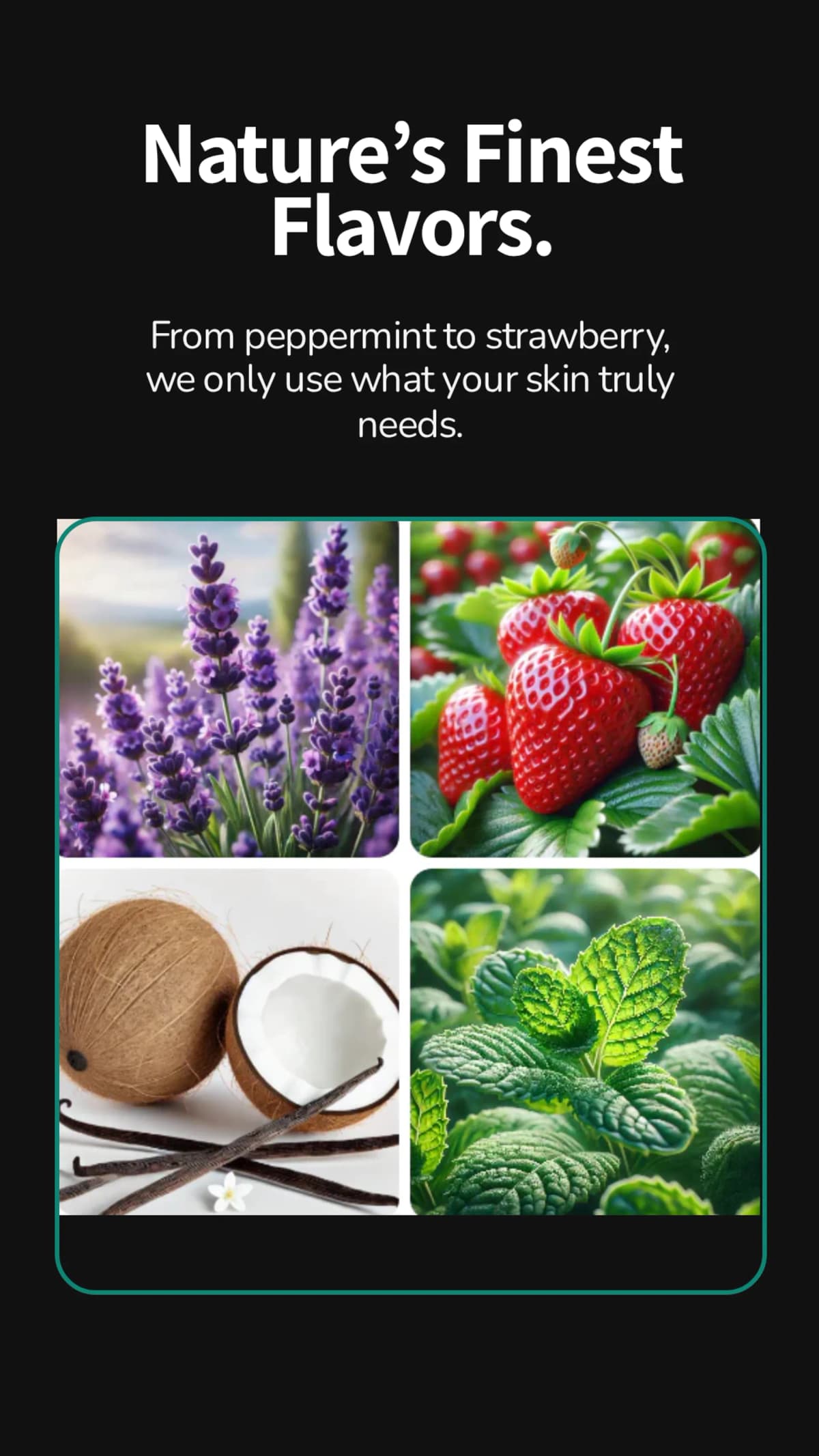 Numbrrrz — nature's finest flavors in organic lip care